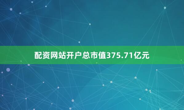 配资网站开户总市值375.71亿元