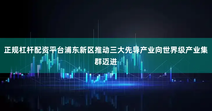 正规杠杆配资平台浦东新区推动三大先导产业向世界级产业集群迈进