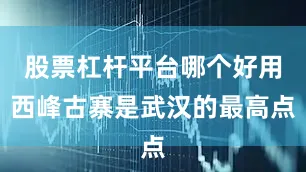 股票杠杆平台哪个好用西峰古寨是武汉的最高点