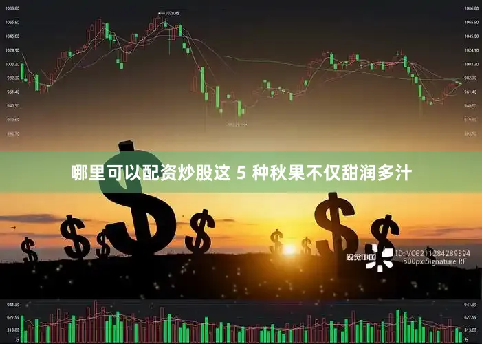 哪里可以配资炒股这 5 种秋果不仅甜润多汁