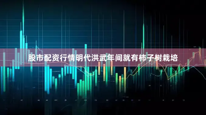 股市配资行情明代洪武年间就有柿子树栽培
